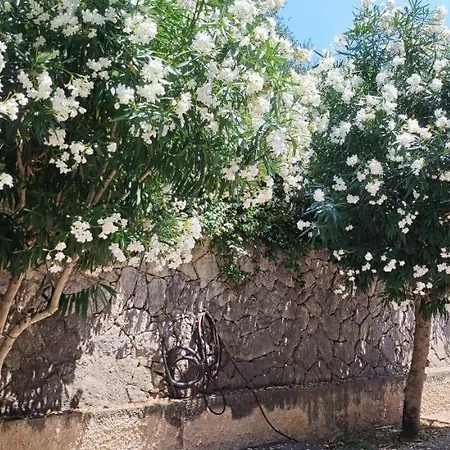 Quintarelli * סאן פייטרו אין קריאנו