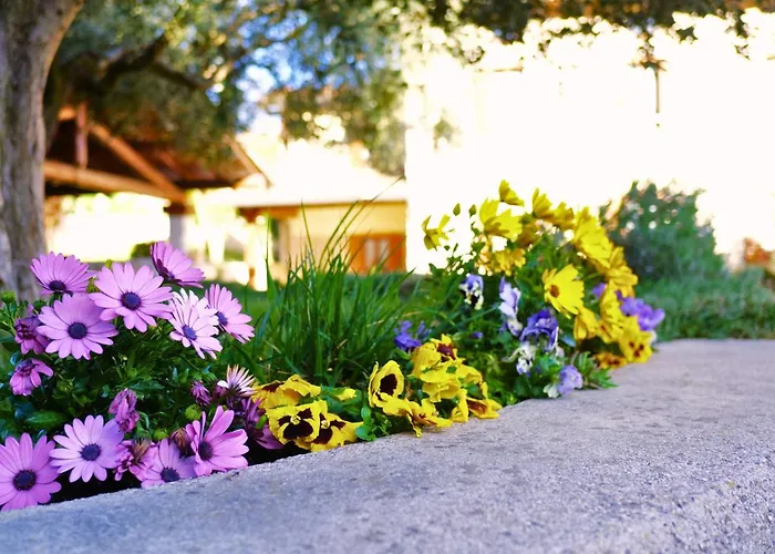 Quintarelli Bed & Breakfast San Pietro in Cariano