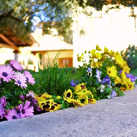 Quintarelli לינה וארוחת בוקר סאן פייטרו אין קריאנו